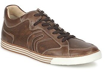 chaussures Geox homme